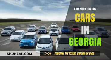 Georgia's Electric Vehicle Growth: Counting the Number of EVs on Roads