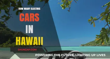 Hawaii's Electric Car Growth: Current Numbers and Future Trends