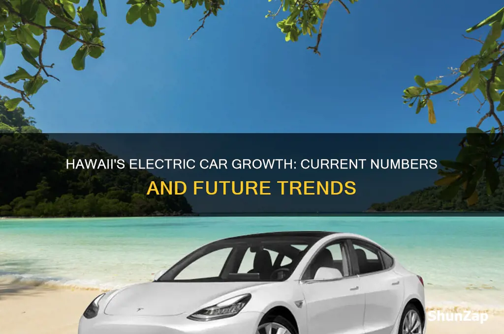how many electric cars in hawaii