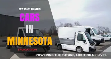 Minnesota's Electric Vehicle Growth: Counting the Cars on the Road