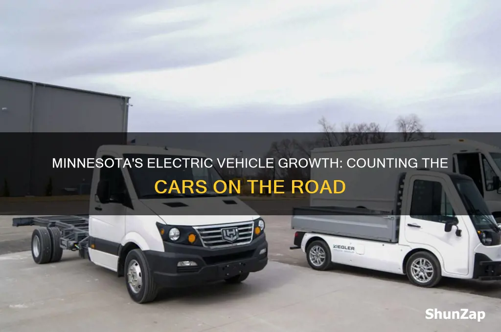 how many electric cars in minnesota
