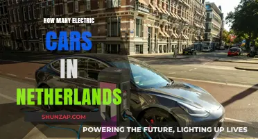 Netherlands' Electric Car Revolution: Counting the Growing Green Fleet