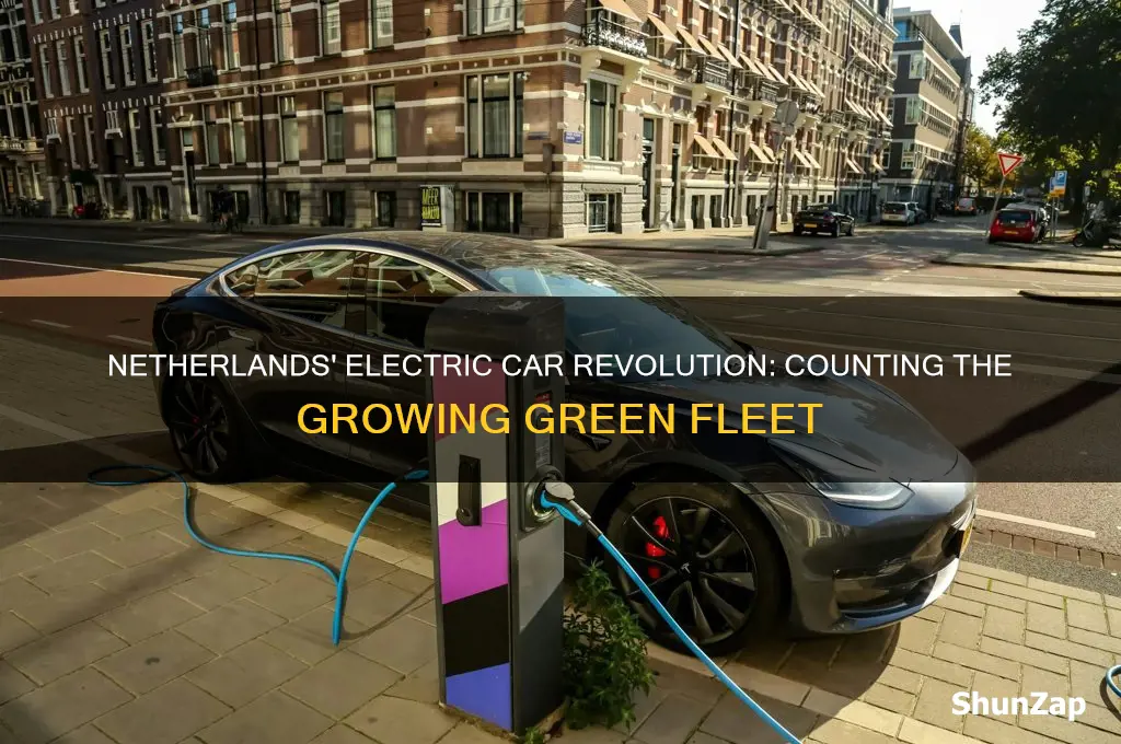 how many electric cars in netherlands