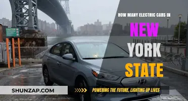 Electric Cars in New York: Current Numbers and Growth Trends