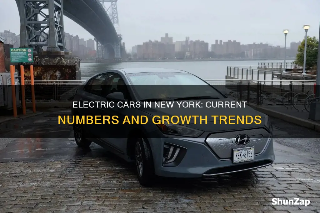 how many electric cars in new york state