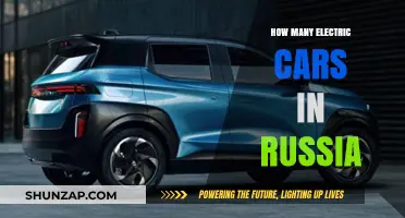 Russia's Electric Vehicle Growth: Current Numbers and Future Trends