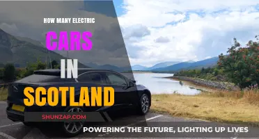 Scotland's Electric Vehicle Revolution: Counting the Growing Number of EVs