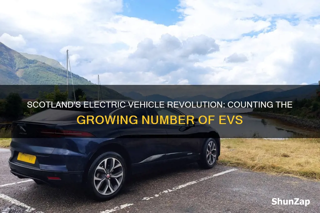 how many electric cars in scotland