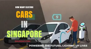 Electric Cars in Singapore: Current Numbers and Growth Trends
