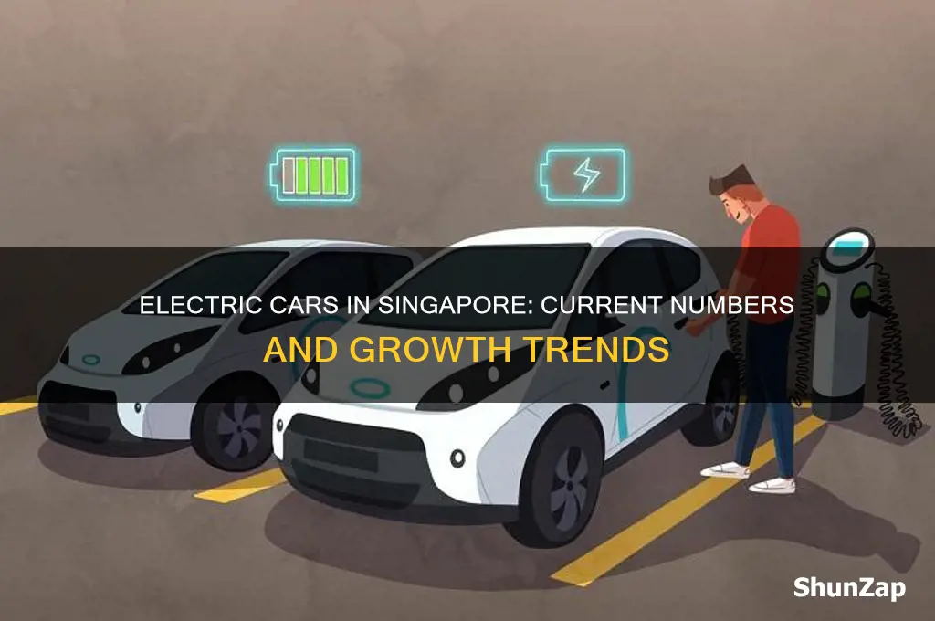 how many electric cars in singapore