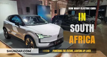 Electric Cars in South Africa: Current Numbers and Growth Trends