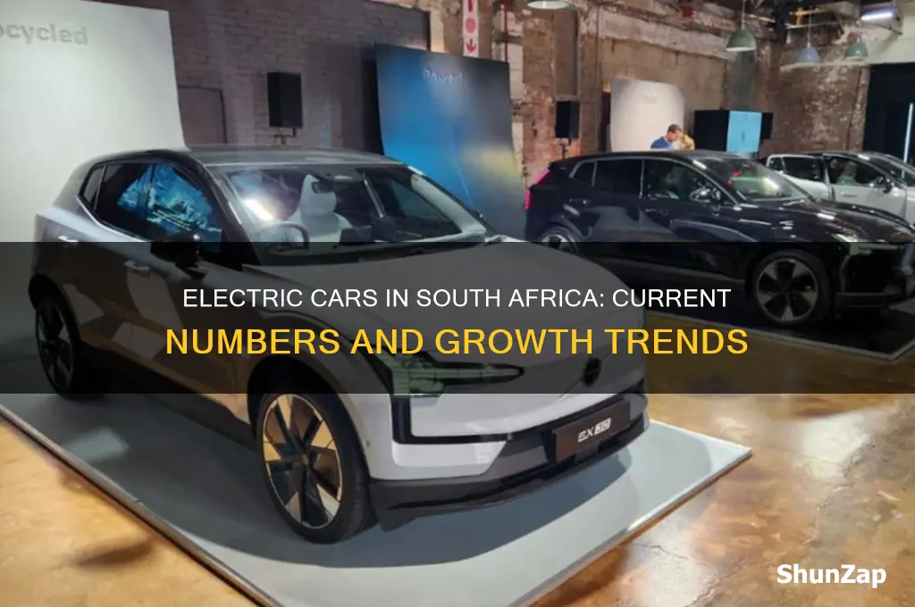 how many electric cars in south africa