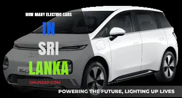 Electric Vehicles in Sri Lanka: Current Numbers and Future Trends