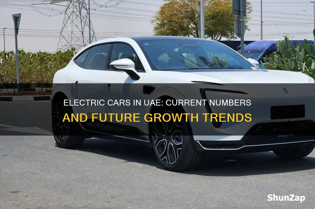 how many electric cars in uae