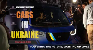 Electric Vehicles in Ukraine: Current Numbers and Future Growth Trends