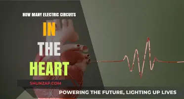 The Heart's Electrical Circuits: A Complex System