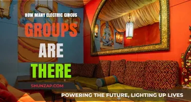 Exploring the Electric Circus: How Many Groups Exist?