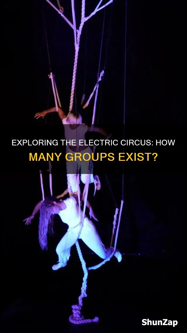 how many electric circus groups are there