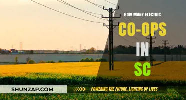 Electric Co-ops in South Carolina: A Comprehensive Overview