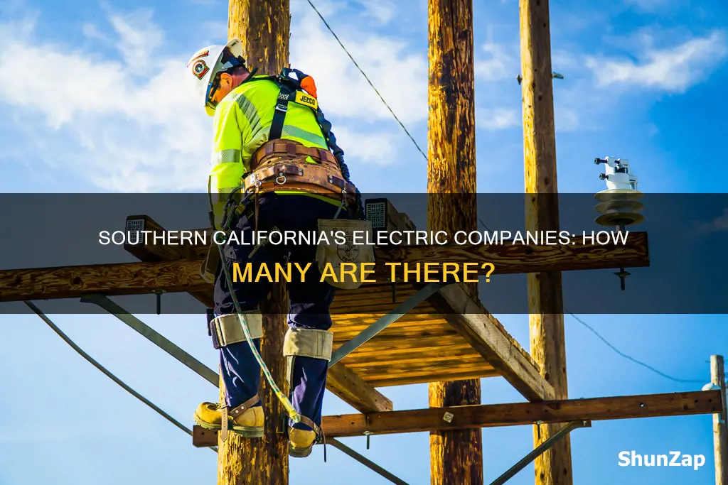 how many electric companie in southern calfornia