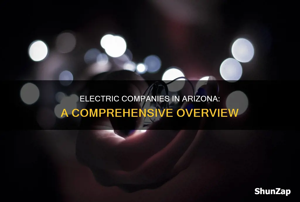 how many electric companies are in arizona