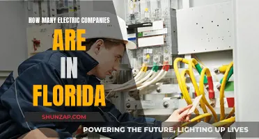 Florida's Electric Companies: How Many Are There?