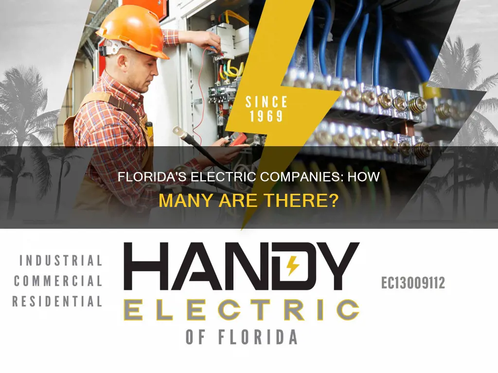 how many electric companies are in florida