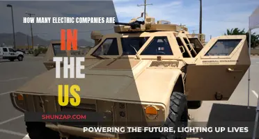 Electric Companies in the US: A Comprehensive Overview