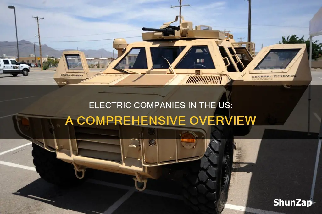 how many electric companies are in the us
