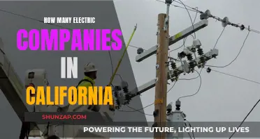 Electric Companies in California: How Many Exist?