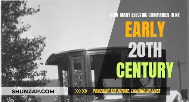Electric Companies in Early 20th-Century New York: A Competitive Landscape