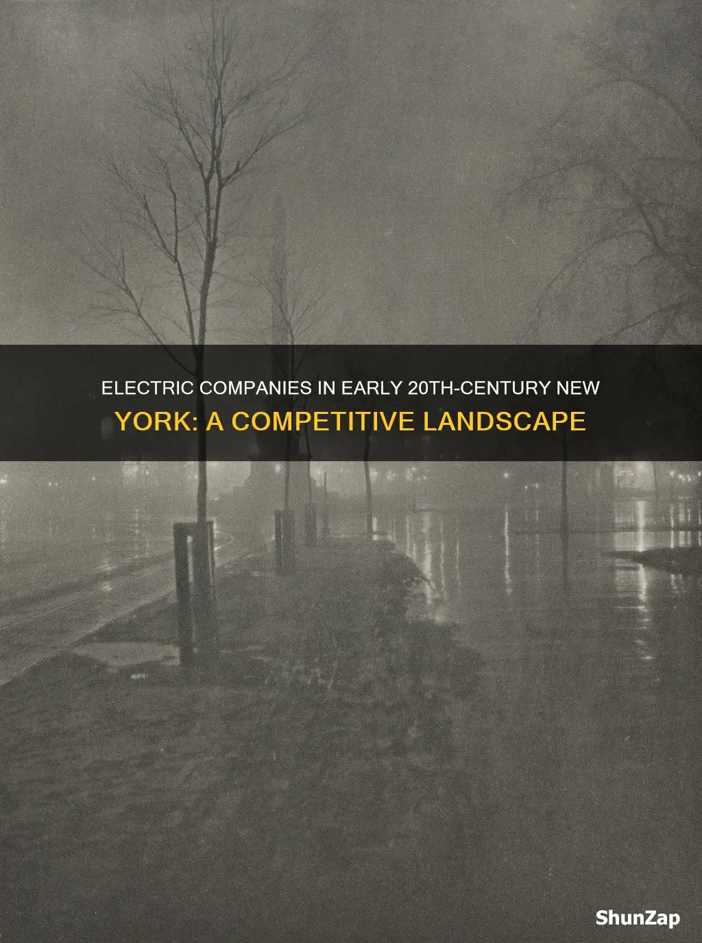 how many electric companies in ny early 20th century