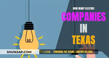 Electric Companies in Texas: How Many Are There?
