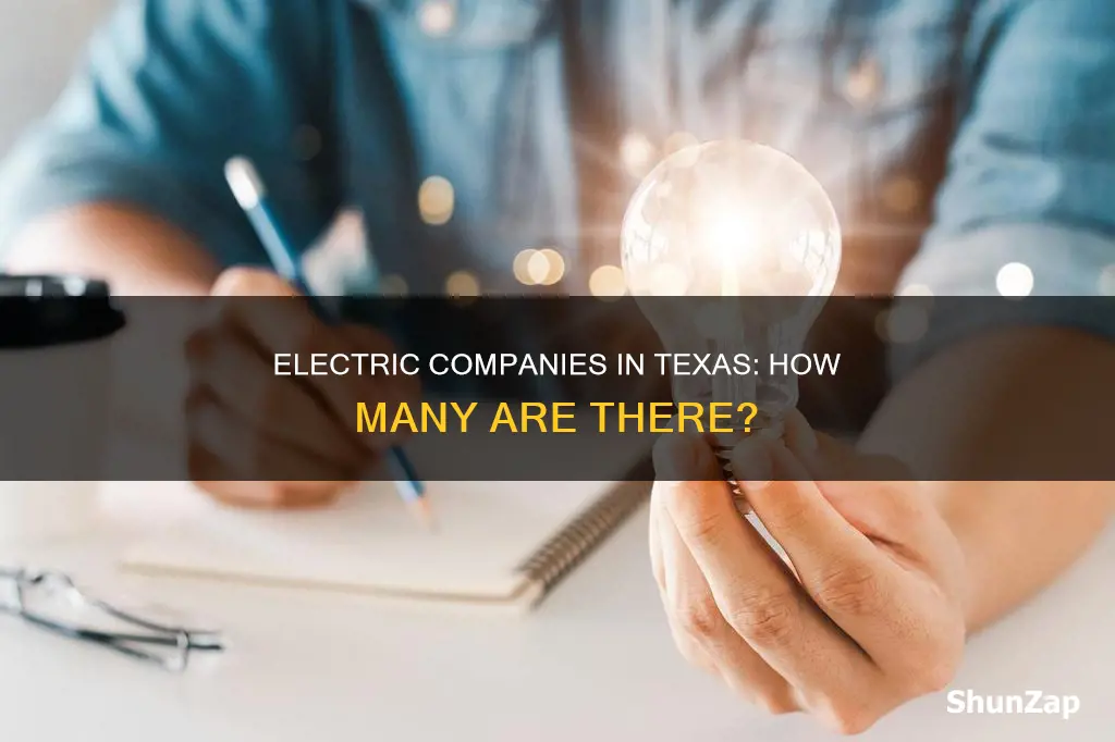 how many electric companies in texas