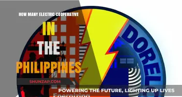 Electric Cooperatives in the Philippines: A Comprehensive Overview