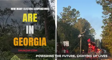 Electric Cooperatives in Georgia: How Many Are There?