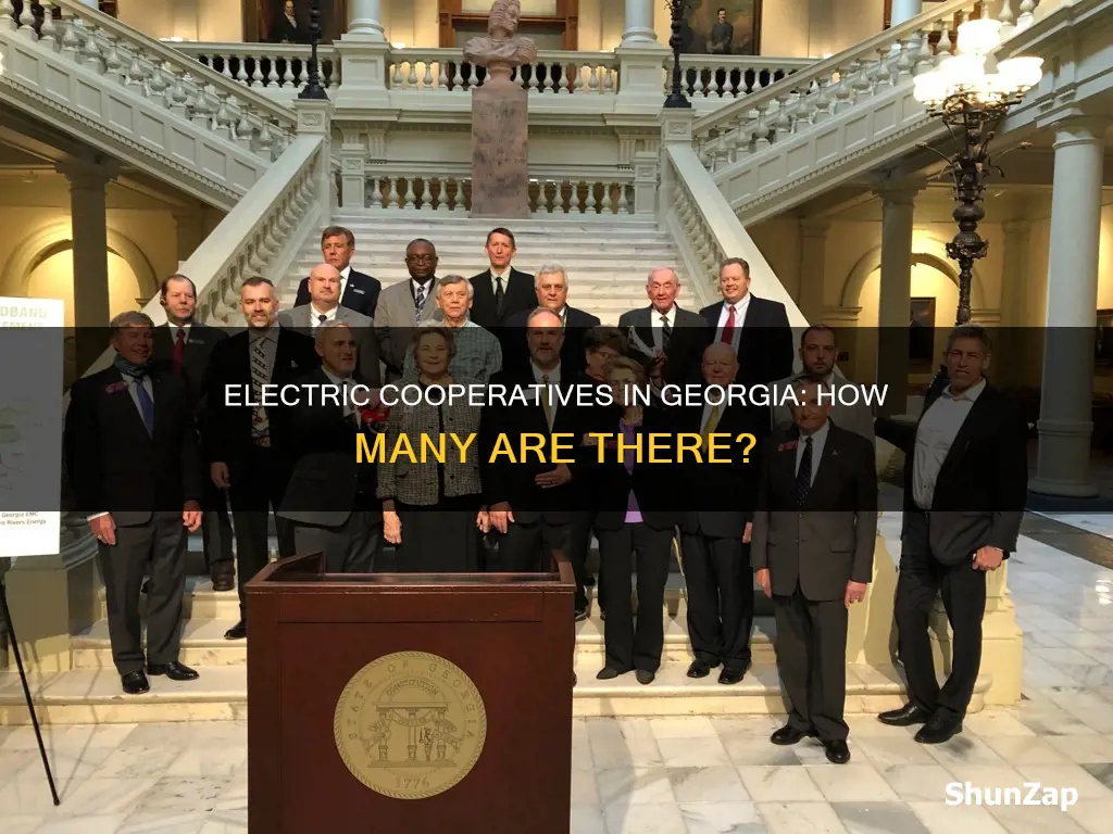 how many electric cooperatives are in georgia