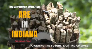 Electric Cooperatives in Indiana: How Many Are There?