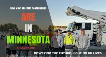 Electric Cooperatives in Minnesota: A Comprehensive Overview