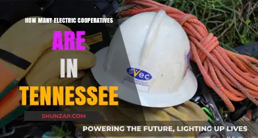 Tennessee's Electric Cooperatives: A Powerful Network