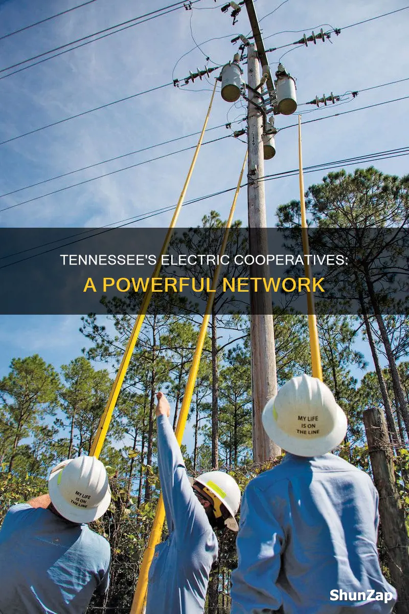 how many electric cooperatives are in tennessee