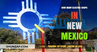 Electric Cooperatives in New Mexico: How Many Exist?