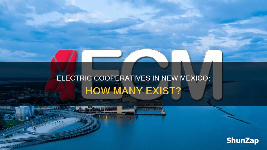how many electric coops in new mexico