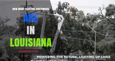 Louisiana's Electric Customers: How Many Are There?