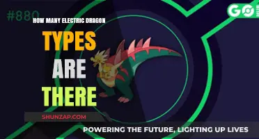 Explore the Electric Dragons: Discover the Unique Types