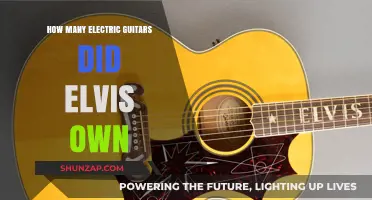 Elvis' Electric Guitars: A Collection of Many