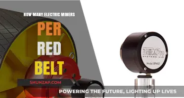 Electric Miners to Red Belt: Optimal Ratio for Efficiency