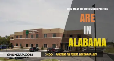 Alabama's Electric Municipalities: A Comprehensive Overview