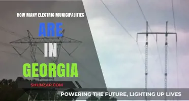 Electric Municipalities in Georgia: How Many Exist?