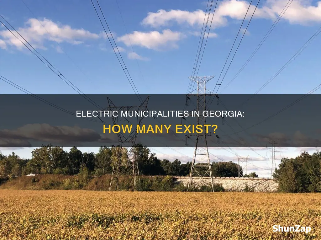 how many electric municipalities are in georgia